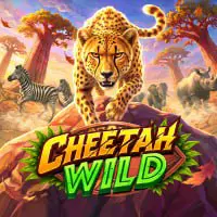 cheetahwild - Aplikasi Navigasi Motor Terbaik untuk Petualangan Anda